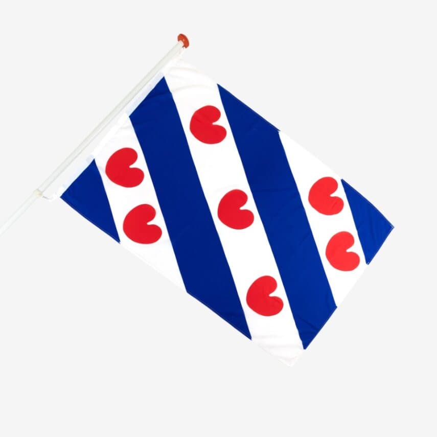 Flaggenmast mit Landesflagge im Wind